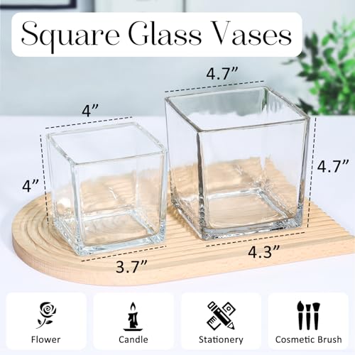 KEYWING 6 Pack Square Glass Vase 4" x 4" x 4", Clear Flower Vases for Centerpieces, Square Glass Cube Vase Candle Holder f...