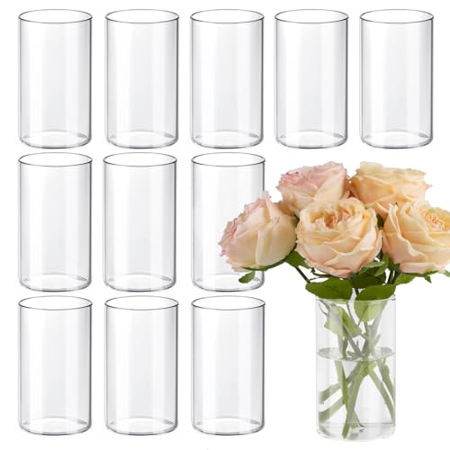 TBWIND 12pcs Glass Cylinder Vases for Centerpieces, 6 Inch Clear Flower Vases for Wedding Decorations and Indoor Home Deco...