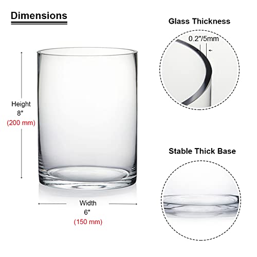 Enova Floral Clear Glass Cylinder Vase 6 x 8 Inches, Clear Flower Vases, Pillar Candle Hurricane Floating Candle Holder Va...