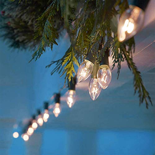 C7 Christmas Lights Outdoor, 25Ft C7 Warm White Christmas Decorations String Lights with 27 Clear Incandescent Bulbs, Vint...