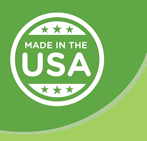 Amazon Basics Everyday Paper Plates, 8.62 Inch, Disposable, 100 Count, Packaging May Vary