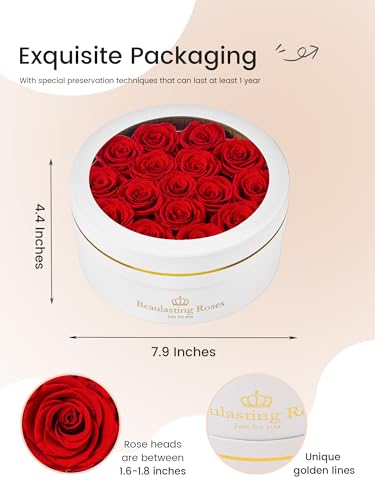 Preserved Roses Forever Flowers Real Roses in a Box Mother's Day Birthday Flowers for Her Mom Women Wife Valentine's Day, ...
