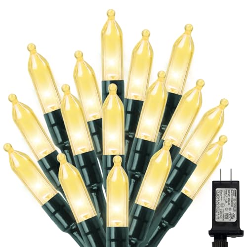 LAMPHOME Warm White Christmas Mini Lights, 32.5FT 100 LED String Lights with 16 Light Modes, Fairy Lights Plug in for Outd...