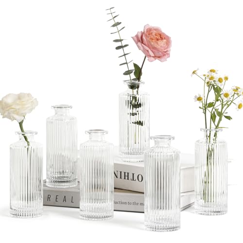 ComSaf Small Vases for Flowers Mini Clear Glass Bud Vases in Bulk, 5.2 inch Tall Mini Flower Vase, Vases for Centerpiece, ...