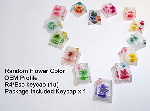 Custom Resin Artisan Escape Keycaps (OEM, R4) for Cherry MX Gaming Mechanical Keyboards, Transparent Flower Cool Esc Key C...