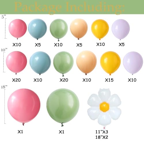 Daisy Flower Balloon Arch Kit 137PCS Pink and Green Yellow WildFlower Balloons for Wild Flower Baby in Bloom Baby Shower S...