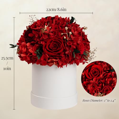 ROSEROSE Preserved Flowers for Delivery Prime,Forever Flowers Bouquet with Gift Box, Eternal Real flowers Gifts for Women,...