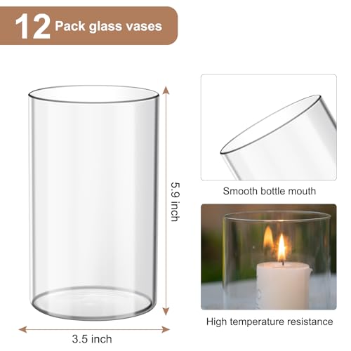 Devilfire 12Pcs Glass Cylinder vases for Centerpieces, 6 Inches Tall Flower Vases Wedding Decorations,Bulk Cylinder Flowe...