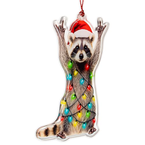 Racoon Christmas Ornament, Christmas Ornaments 2026, Funny Raccoon Gifts for Women Animal Lovers, Animal Gifts for Family,...