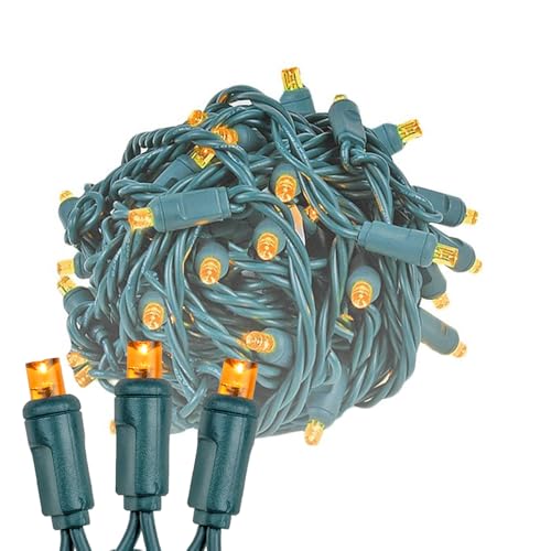Novelty Lights 11ft 50 LED Amber Christmas Lights Outdoor/Indoor, 2.5" Spacing, Green Wire String Lights for Festive Xmas ...
