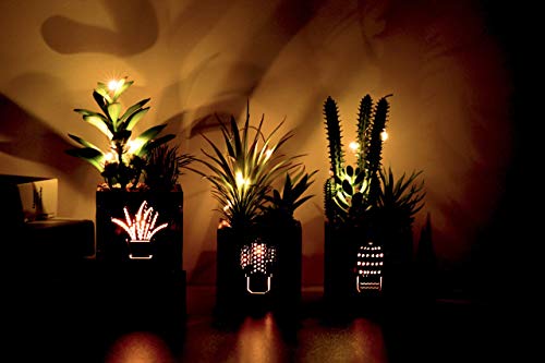 BEGONDIS Set of 3 Artificial Succulents with Led Lights in Wooden Box, Artificial Plants Plastic Fake Topiary for Home/Off...