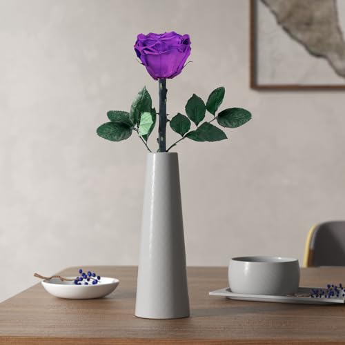 Preserved Flowers Gifts for Women, Flowers for Delivery, Single Roses with Stem, Valentines Day Roses Gifts for Her, Mothe...