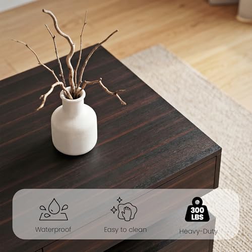 Coffee Table for Living Room, Modern Coffee Table with 2 Storage Drawers, 2 Tier Center Table Wood Coffee Tables with 20 C...