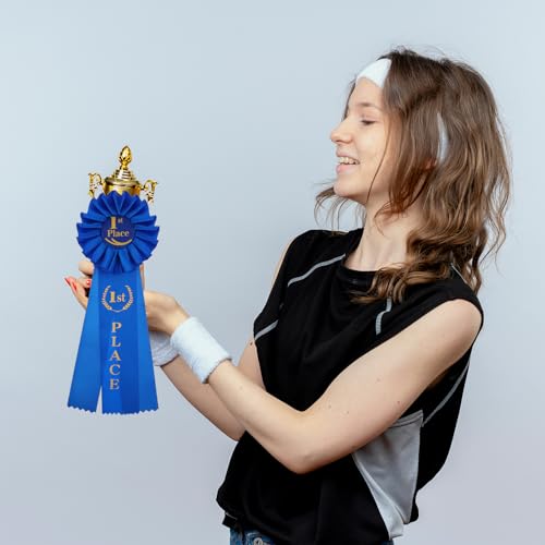 3 Pcs Ribbon Rosette Ribbon Award 1st 2nd 3rd Place Winner Victory Ribbons Award Award Ribbons Medals Prize for Classroom ...