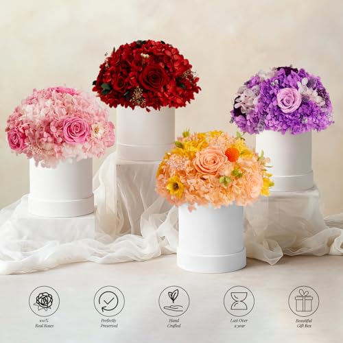 ROSEROSE Preserved Flowers for Delivery Prime,Forever Flowers Bouquet with Gift Box, Eternal Real flowers Gifts for Women,...