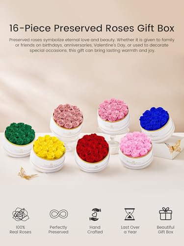 Preserved Roses Forever Flowers Real Roses in a Box Mother's Day Birthday Flowers for Her Mom Women Wife Valentine's Day, ...