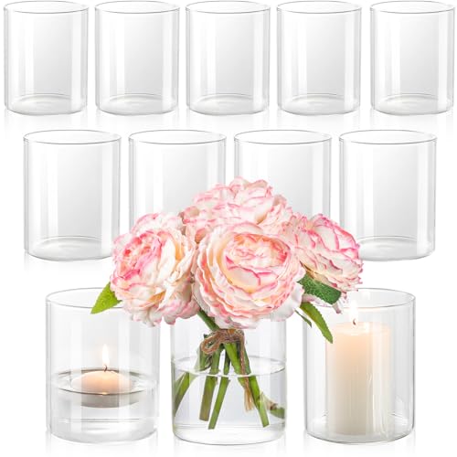 DYMFADFB 12pcs Glass Cylinder Vases for Centerpieces - 4 Inch Small Flower Vase for Wedding Decorations, Clear Glass Flowe...