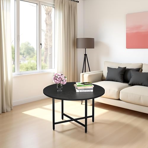 FAMIDGE Coffee Table, 23.6" Coffee Tables for Living Room, Round Coffee Table with Metal Frame, Floor Table for Sitting on...