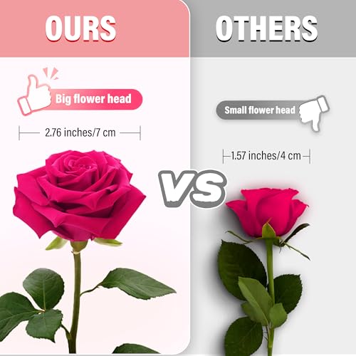 Pyopbow 20PCS Artificial Roses with Long Stems - Realistic Silk Flowers, Fake Roses Real Touch Bouquet Roses for Valentin...