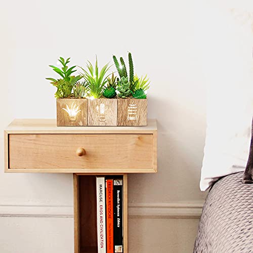 BEGONDIS Set of 3 Artificial Succulents with Led Lights in Wooden Box, Artificial Plants Plastic Fake Topiary for Home/Off...