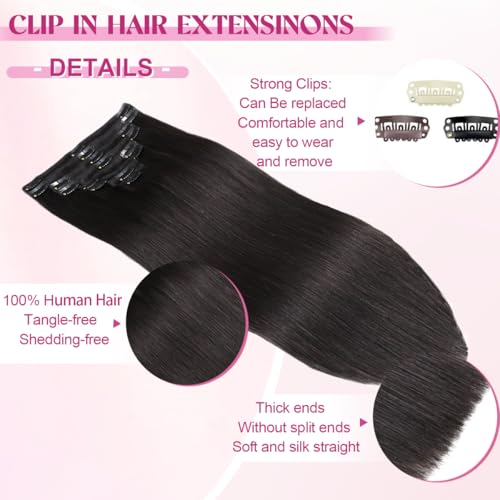 Clip in Hair Extensions Real Human Hair, 20 Inch 105g 100% Remy Human Hair Clip in Extensions for Women, Invisible Straigh...