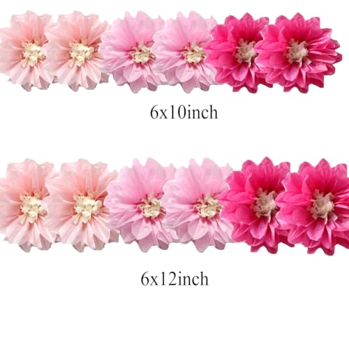 12pcs 10in 12in Paper Flowers Tissue Flowers Pom Paper Pom Poms Hanging Flowers Floral Backdrop Wedding Party Flower Decor...
