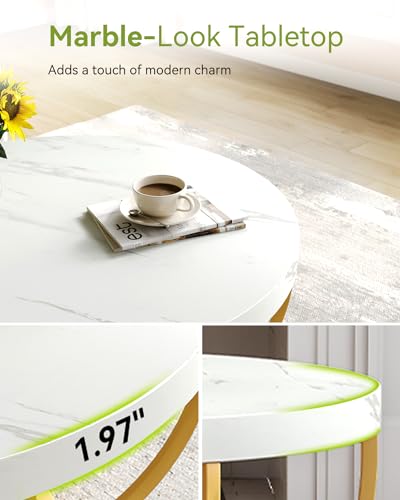 LITTLE TREE Round Coffee Table, 32" Circle Faux Marble Coffee Tables for Living Room, 2-Tier Golden Metal Legs Accent Cent...