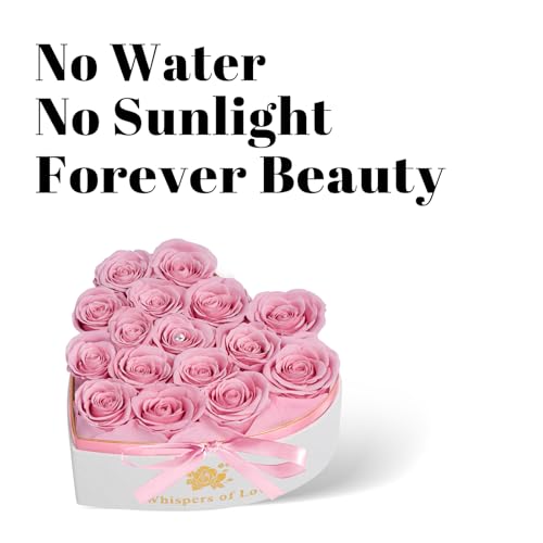 Cooeach Luxury Preserved Roses – Forever Real Roses Flowers for Delivery in a White Box, Preserved Flowers Birthday Gifts ...
