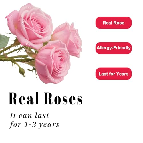 Cooeach Luxury Preserved Roses – Forever Real Roses Flowers for Delivery in a White Box, Preserved Flowers Birthday Gifts ...
