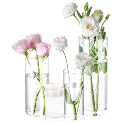 4 Pack Glass Cylinder Vases 4,6,8,10 Inch Tall Clear Flower Vase Hurricane Floating Candle Holder for Table Centerpiece We...
