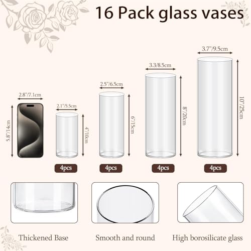 TBWIND 16 Pack Glass Cylinder Vases 4, 6, 8, 10 Inch Tall Clear Flower Vases for Table Centerpieces Wedding Decoration, Hu...