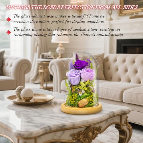 Forever Flowers Preserved Roses Prime Delivery For Women, Glass Dome Light Up Preserved Flowers , Christmas Anniversary Th...