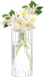 Gute 8 Inch Glass Vases for Decor, Flower Vase for Home Decor, Modern Decorative Clear Vase Centerpieces Living Room, Kitc...