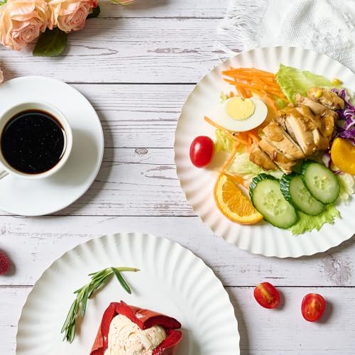 MUCHII 300 Count 9 Inch Paper Plates, Disposable Dinner Plates Bulk, White Plate Uncoated for Parties, Catering, Picnics, ...