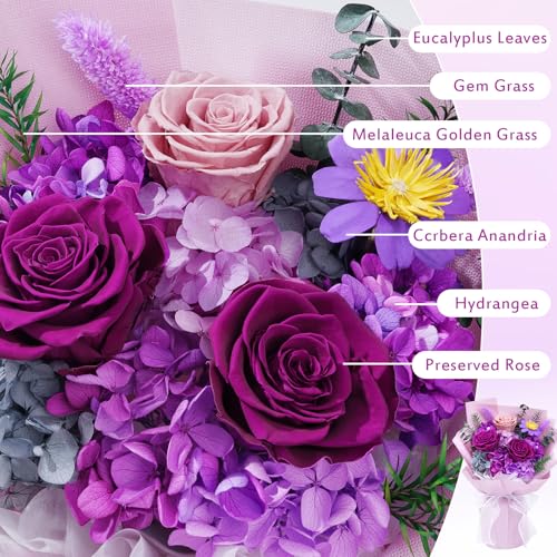 Waipfaru Preserved Flowers, Purple Fresh Bouquet with Gift Box, Flowers for Delivery Prime, Forever Flowers for Women Birt...