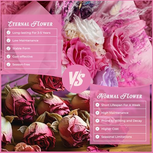 Cooeach Preserved Flowers for Delivery Prime Pink Flowers Bouquet Lasting 1-3 Years, Birthday Gifts for Women Mom Grandma ...