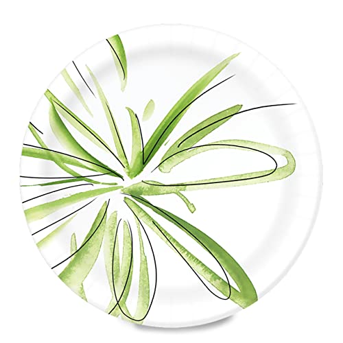 Amazon Basics Everyday Paper Plates, 8.62 Inch, Disposable, 100 Count, Packaging May Vary