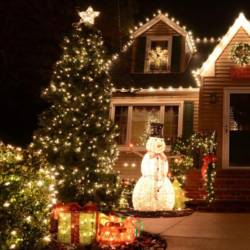 TW SHINE Warm White Christmas Lights, 20FT 100 Count Incandescent White Wire Christmas Tree Lights, Waterproof Xmas String...