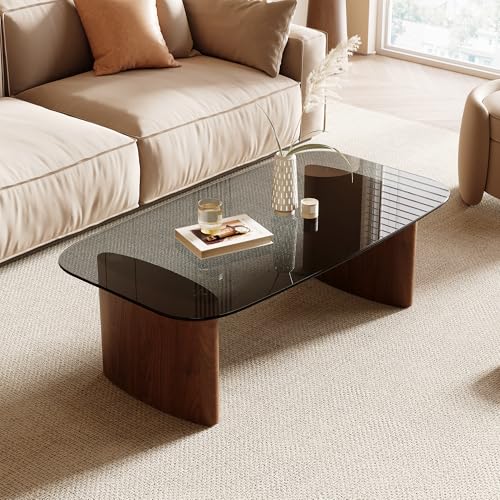 Modern Glass Coffee Table, Coffee Table for Living Room,Tempered Glass-top with Sturdy Wooden Base, Modern Coffee Tables f...