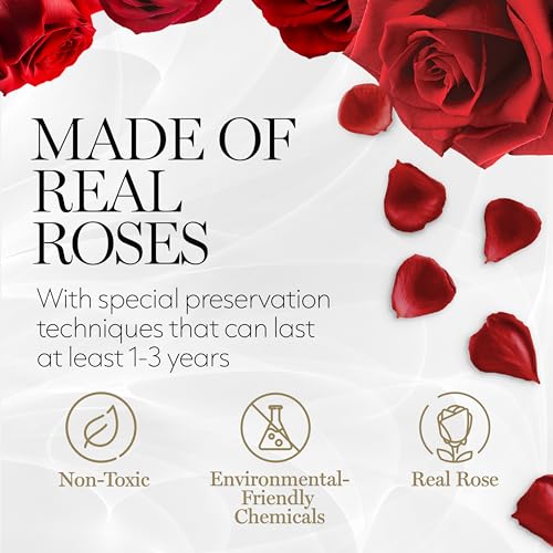 GLAMOUR BOUTIQUE Preserved Roses in a Box, 4 Roses Flowers Decor for Birthday Gift, Preserved Flowers Display, Cased in a ...