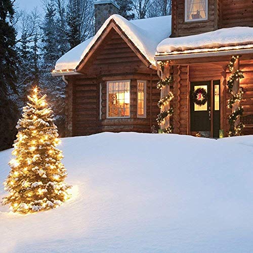 LOENDE LED Mini Lights with Timer Christmas Lights 18ft 50 LED 8 Modes Battery Operated String Lights White Wire for Indoo...