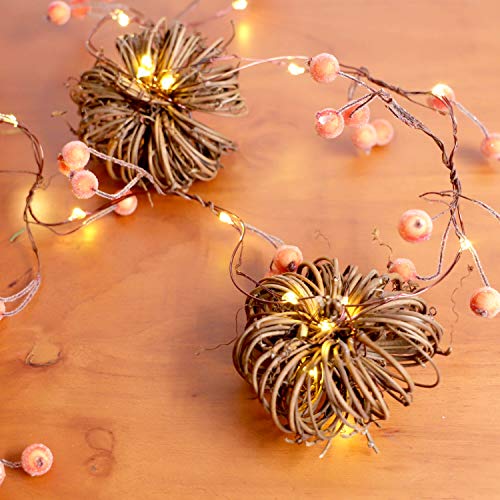 Rattan Pumpkin String Lights 10ft 30LEDs Fall Garland with Lights Battery Operated Fall Fairy Lights with Remote Pumpkin G...