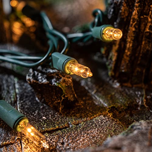 YULETIME 200 Clear Christmas Lights with Green Wire, Pack of 2 Strands of 21 ft 100 Count UL Certified Incandescent Mini S...