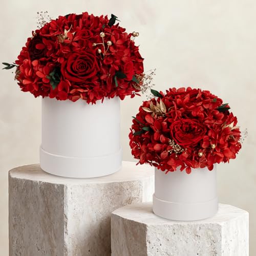 ROSEROSE Preserved Flowers for Delivery Prime,Forever Flowers Bouquet with Gift Box, Eternal Real flowers Gifts for Women,...