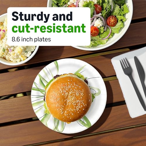 Amazon Basics Everyday Disposable Paper Plates, 8.62 Inch, Microwave-Safe, Cut Resistant, Soak-Proof, 100 Count, Packaging...