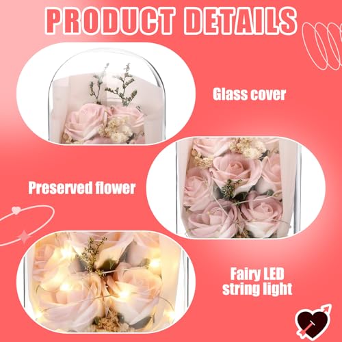 Dingion Valentines Day Preserved Flowers Gifts for Her Forever Fresh Rose Flowers Bouquet Gifts in Glass Dome LED Light Ro...