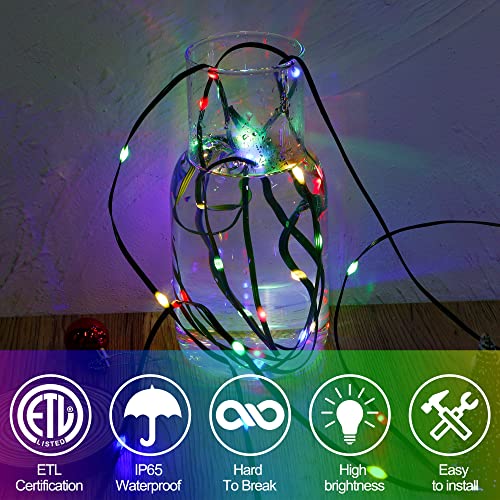 WATERGLIDE Extra Long 328 FT Fairy String Lights, 1000 LED Outdoor Green Wire Christmas Lights, Plug in Mini Light 8 Modes...