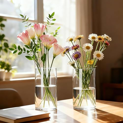 Clear Glass Cylinder Vases for Centerpieces,12pcs 6 inch Glass Candle Cylinders Bulk,Thick Bud Flower Vase & Floating Cand...