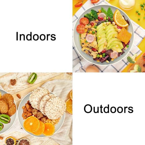 Wrova Large Wheat Straw Dinner Plates - 11 Inch Set of 8 - Unbreakable, Dishwasher & Microwave Safe - Deep Edge for Kitche...