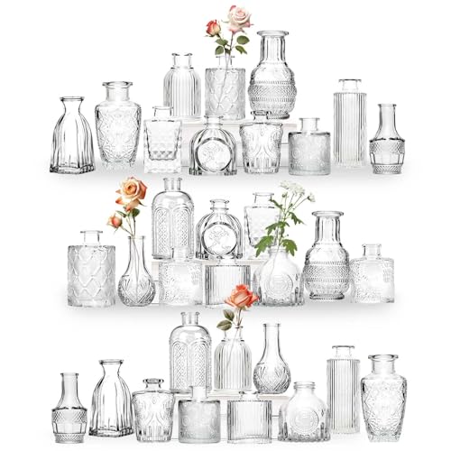 Sawoake Mini Bud Vases Set of 32 As Wedding Centerpieces for Tables,Clear Bud Vases for Flowers,Small Flower Vases Suitabl...